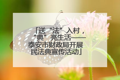 送“法”入村，“典”亮生活——泰安市财政局开展民法典宣传活动