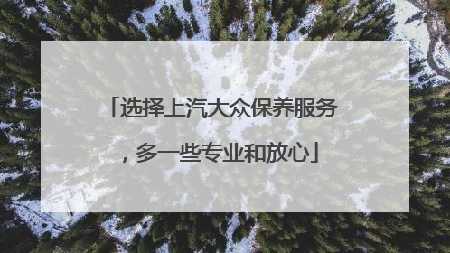 选择上汽大众保养服务，多一些专业和放心
