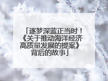 逐梦深蓝正当时！《关于推动海洋经济高质量发展的提案》背后的故事