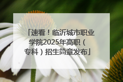 速看！临沂城市职业学院2025年高职（专科）招生简章发布