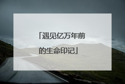 遇见亿万年前的生命印记