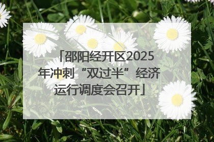 邵阳经开区2025年冲刺“双过半”经济运行调度会召开