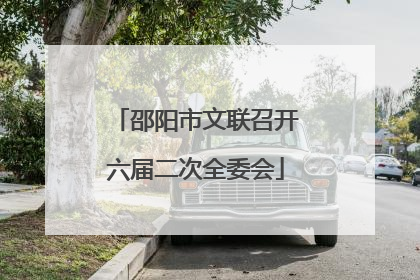 邵阳市文联召开六届二次全委会
