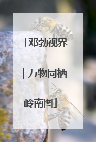 邓勃视界｜万物同栖岭南图