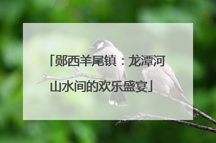 郧西羊尾镇：龙潭河山水间的欢乐盛宴