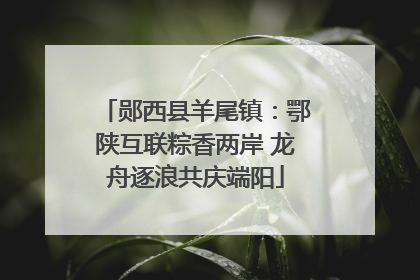 郧西县羊尾镇：鄂陕互联粽香两岸 龙舟逐浪共庆端阳