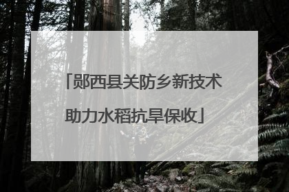 郧西县关防乡新技术助力水稻抗旱保收