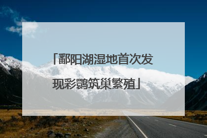 鄱阳湖湿地首次发现彩鹮筑巢繁殖