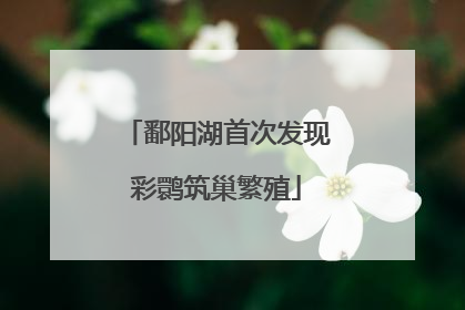 鄱阳湖首次发现彩鹮筑巢繁殖