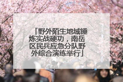 野外陌生地域锤炼实战硬功，南岳区民兵应急分队野外综合演练举行