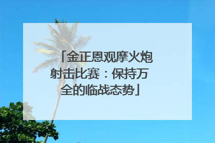 金正恩观摩火炮射击比赛：保持万全的临战态势