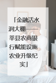 金融活水润大棚——莘县农商银行赋能设施农业升级纪实