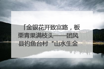 金银花开致富路，板栗青果满枝头——团风县钓鱼台村“山水生金”谱写共富新篇章