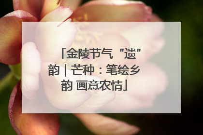 金陵节气“遗”韵｜芒种：笔绘乡韵 画意农情