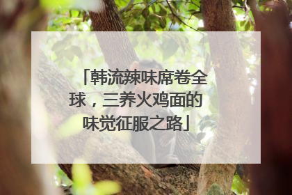 韩流辣味席卷全球，三养火鸡面的味觉征服之路