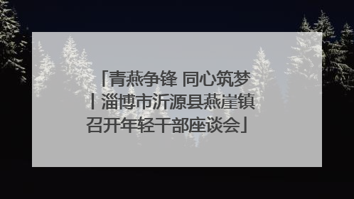 青燕争锋 同心筑梦丨淄博市沂源县燕崖镇召开年轻干部座谈会