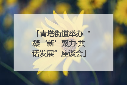 青塔街道举办“凝‘新’聚力·共话发展”座谈会