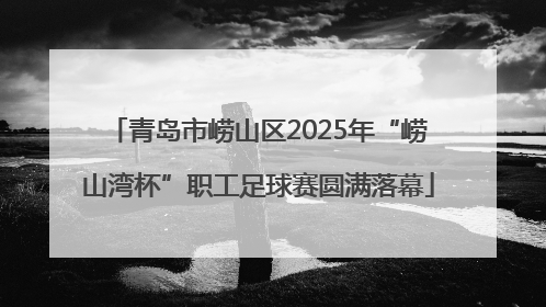 青岛市崂山区2025年“崂山湾杯”职工足球赛圆满落幕