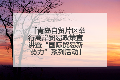 青岛自贸片区举行离岸贸易政策宣讲暨“国际贸易新势力”系列活动