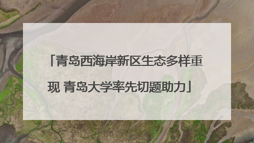 青岛西海岸新区生态多样重现 青岛大学率先切题助力