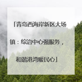 青岛西海岸新区大场镇：综治中心强服务，和谐港湾暖民心