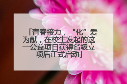 青春接力，“化”爱为献，在校生发起的这一公益项目获得省级立项后正式启动