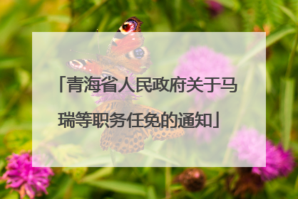 青海省人民政府关于马瑞等职务任免的通知
