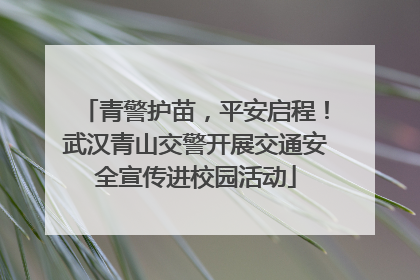 青警护苗，平安启程！武汉青山交警开展交通安全宣传进校园活动