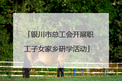 银川市总工会开展职工子女家乡研学活动