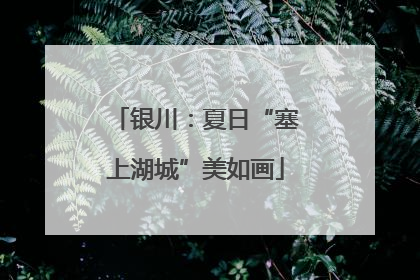 银川：夏日“塞上湖城”美如画
