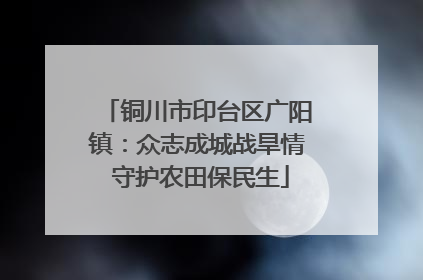 铜川市印台区广阳镇：众志成城战旱情 守护农田保民生