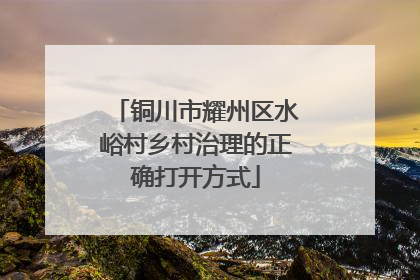 铜川市耀州区水峪村乡村治理的正确打开方式