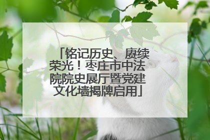 铭记历史、赓续荣光！枣庄市中法院院史展厅暨党建文化墙揭牌启用