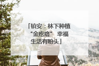 镇安：林下种植“金疙瘩” 幸福生活有盼头
