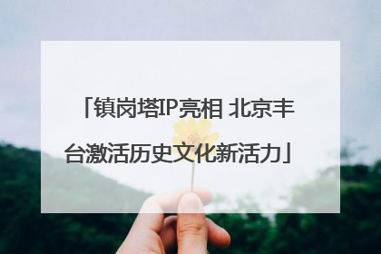镇岗塔IP亮相 北京丰台激活历史文化新活力