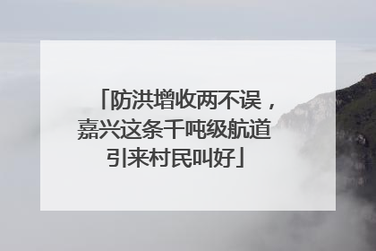 防洪增收两不误，嘉兴这条千吨级航道引来村民叫好