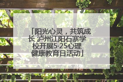 阳光心灵，共筑成长 泸州江阳石寨学校开展5·25心理健康教育日活动