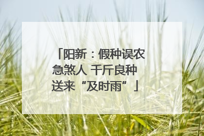 阳新：假种误农急煞人 千斤良种送来“及时雨”