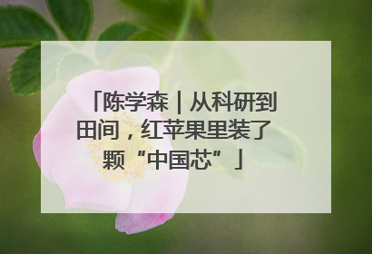 陈学森｜从科研到田间，红苹果里装了颗“中国芯”