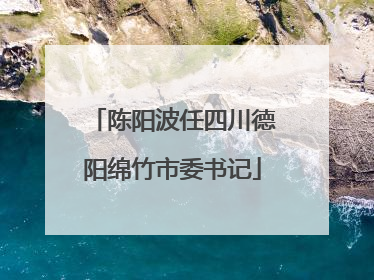 陈阳波任四川德阳绵竹市委书记