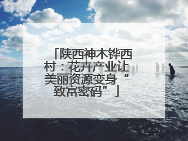 陕西神木铧西村：花卉产业让美丽资源变身“致富密码”