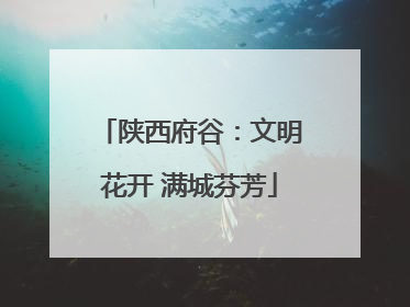 陕西府谷：文明花开 满城芬芳