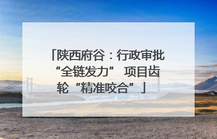陕西府谷：行政审批“全链发力” 项目齿轮“精准咬合”