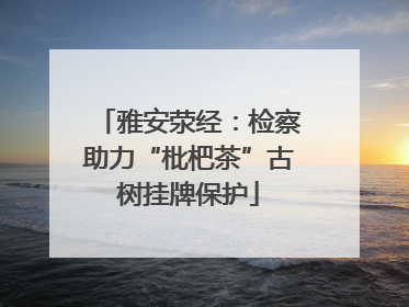 雅安荥经：检察助力“枇杷茶”古树挂牌保护