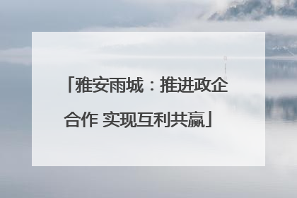 雅安雨城：推进政企合作 实现互利共赢