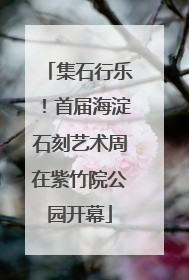 集石行乐！首届海淀石刻艺术周在紫竹院公园开幕