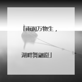 雨润万物生，湖畔舞翩跹