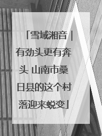 雪域湘音｜有劲头更有奔头 山南市桑日县的这个村落迎来蜕变