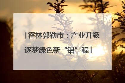 霍林郭勒市：产业升级逐梦绿色新“铝”程