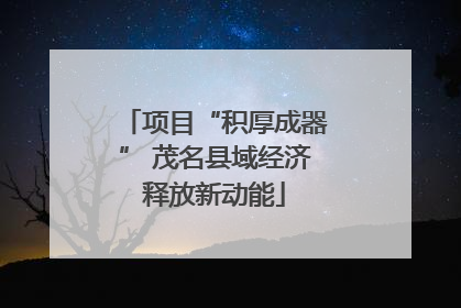 项目“积厚成器” 茂名县域经济释放新动能